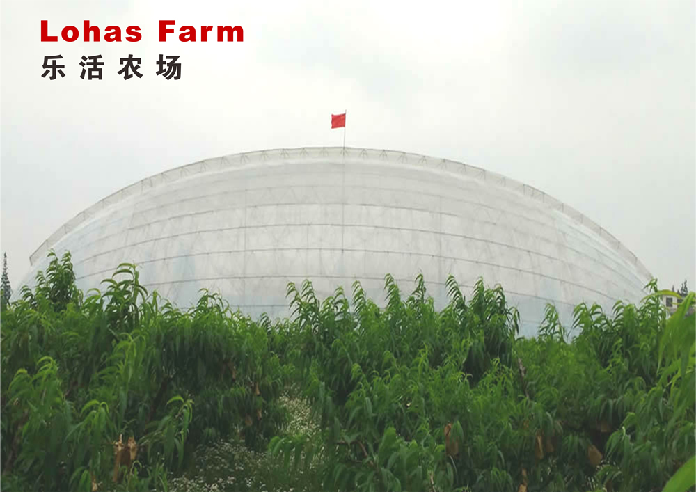 上海新申樂活果蔬專業合作社